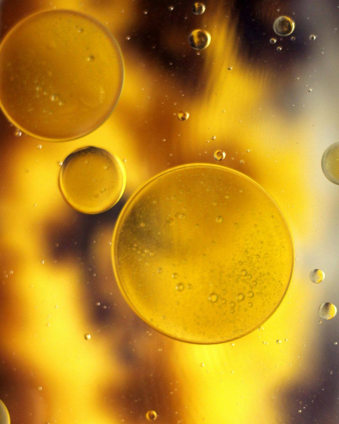 Huile corporelle Omega 6-9 pour une peau éclatante